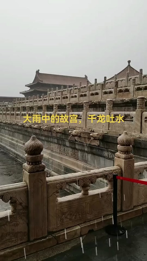 下载中心